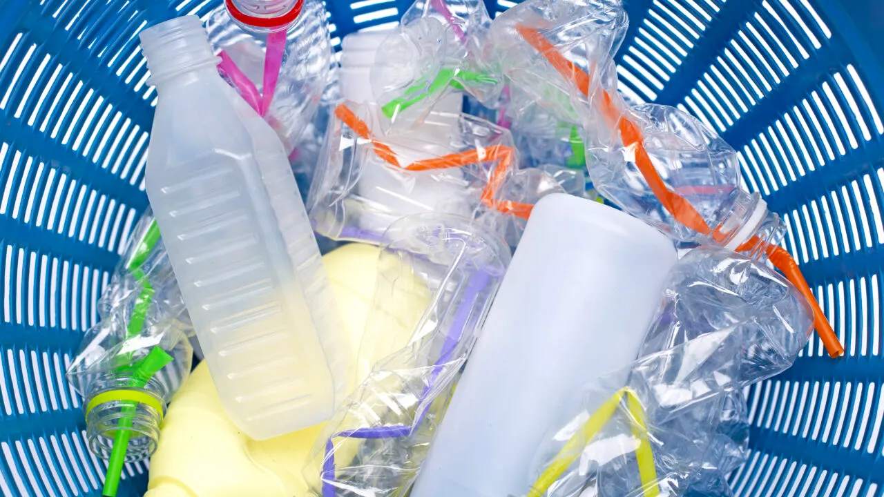 (P) De ce este dăunător plasticul și cum putem limita folosirea acestui material. Recomandările Salubrizare 5