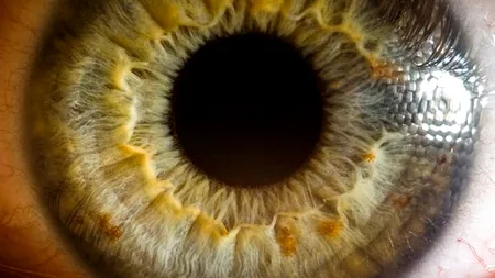 Ce ascund ochii. Detalii uimitoare surprinse de un fotograf armean