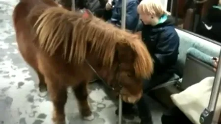 Surpriza pe care au avut-o călătorii din metroul din Berlin. VIDEO
