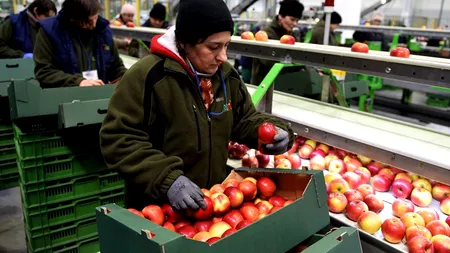 Economia Poloniei a suferit pierderi de 466 de milioane de euro din cauza sancțiunilor impuse Rusiei