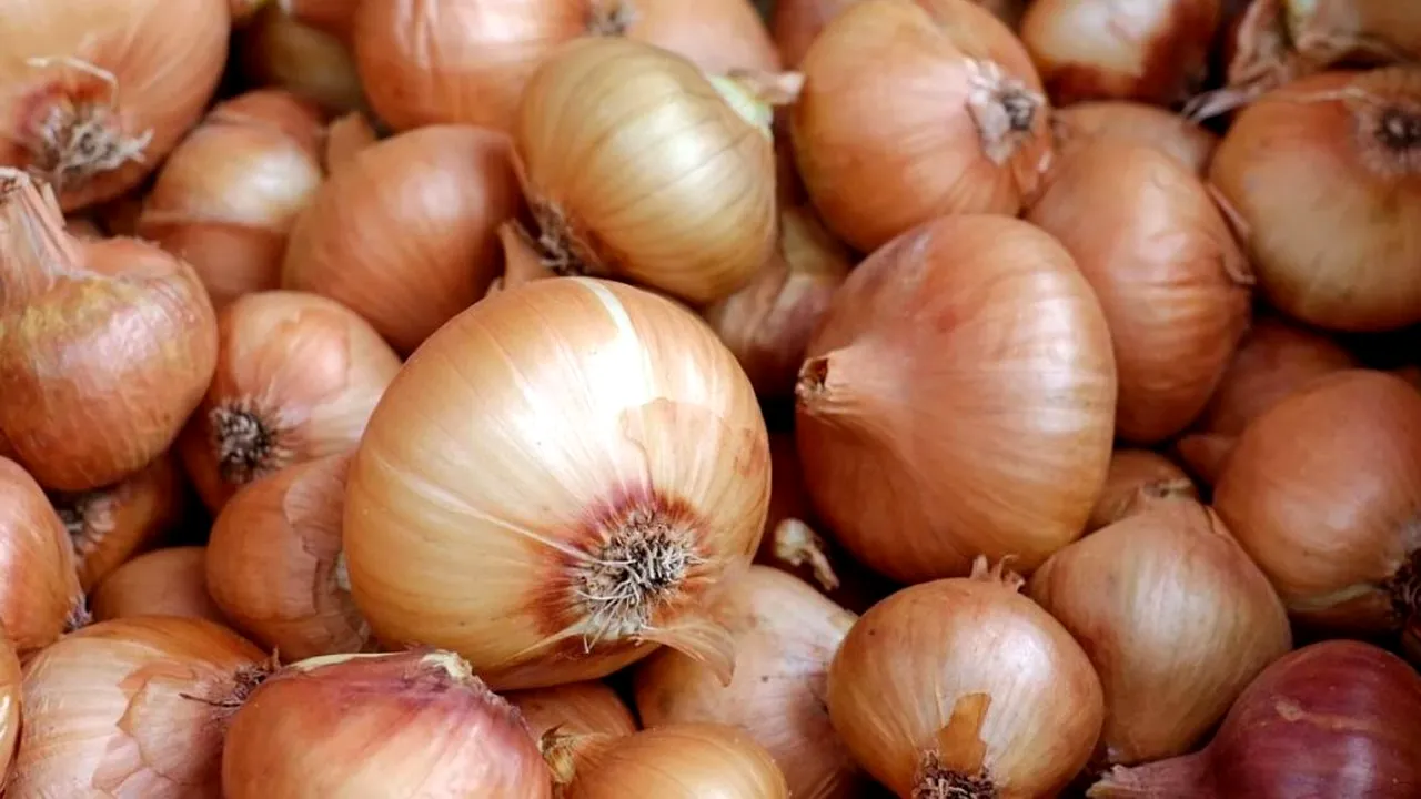 RĂZBUNARE. O femeie a aruncat o tonă de ceapă în fața casei fostului iubit: „Eu am plâns trei zile, acum e rândul tău!”