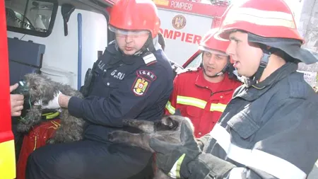 Imaginile devenite virale pe Facebook. 