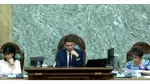 Legea decarbonizării sectorului energetic a trecut de Senat cu 73 de voturi