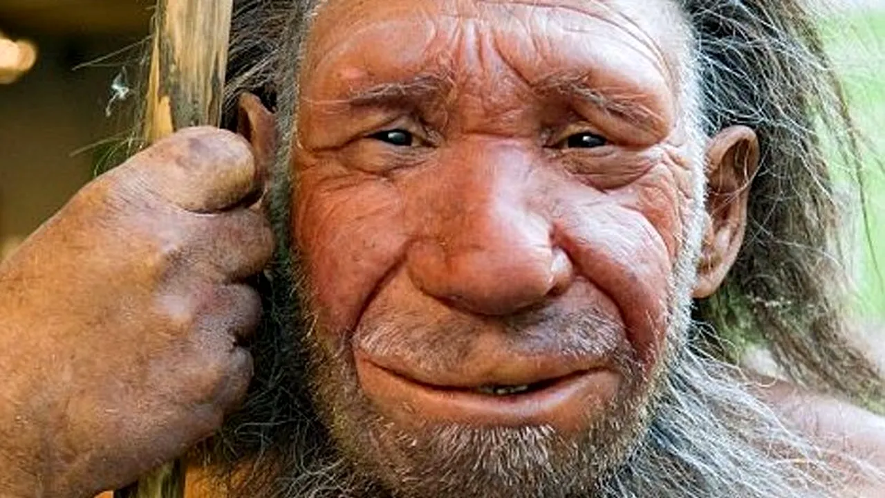 Apariția omului și a celorlalte vertebrate s-ar datora unui ACCIDENT GENETIC - STUDIU