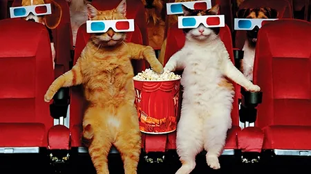 Popcorn pentru toți candidații!