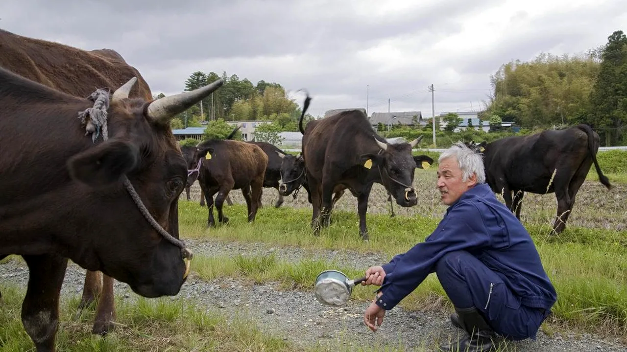 Singurul om care trăiește în zona radioactivă Fukushima. Motivul este impresionant