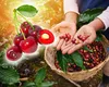 Truc tradițional pentru a scăpa de viermii din cireșe. Ai nevoie doar de 2 produse