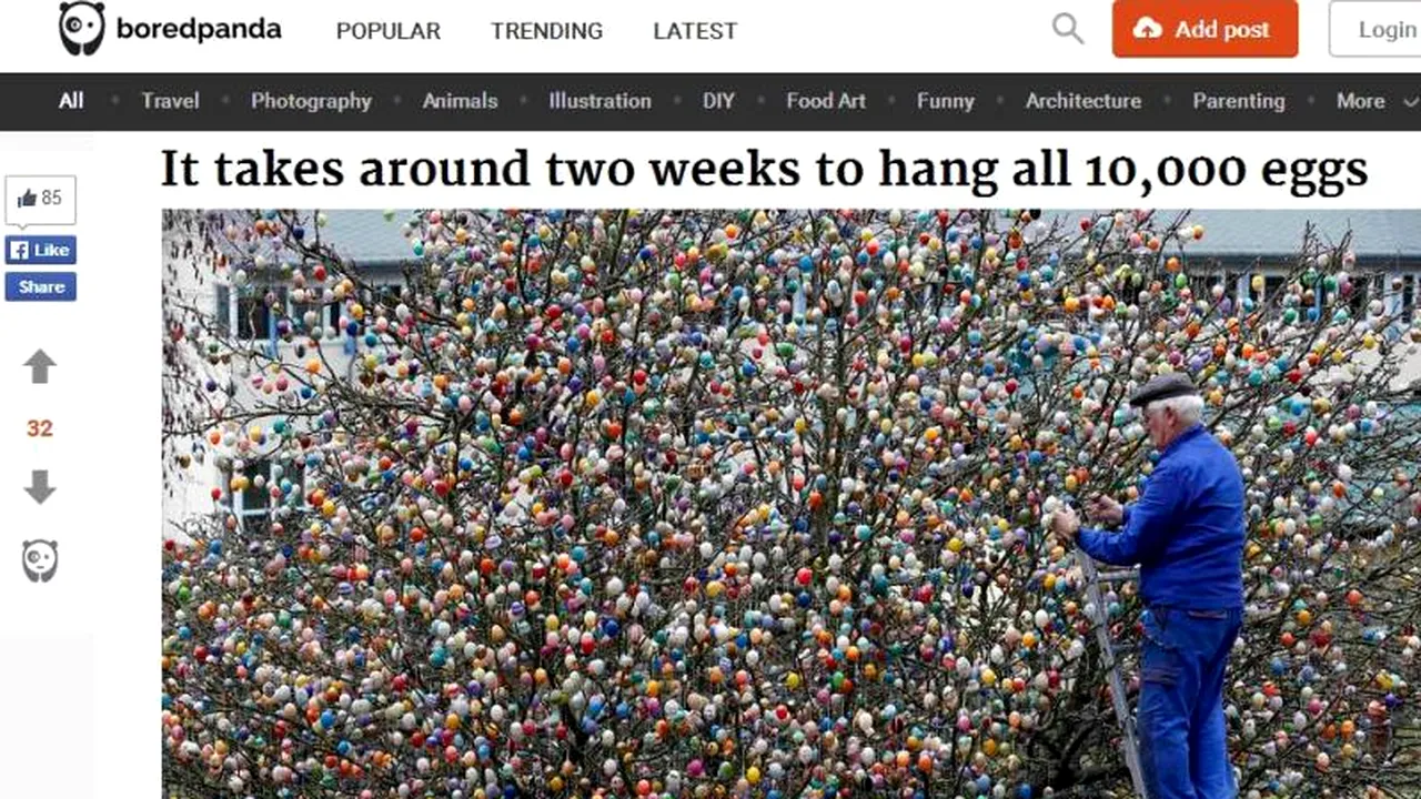 O familie din Germania s-a pregătit pentru Paște într-un mod inedit. Au avut nevoie de 10.000 de ouă vopsite pentru proiectul lor