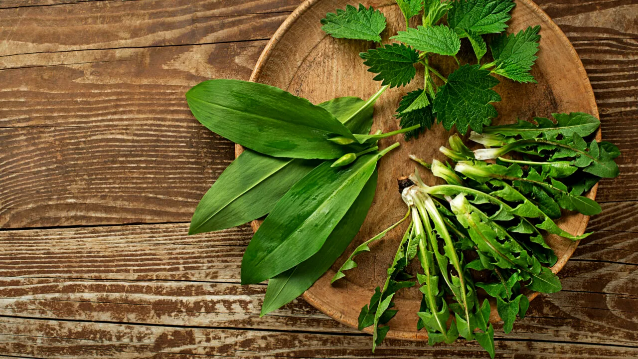 Planta bogată în fier pe care să o consumi primăvara. Favorizează eliminarea toxinelor din organism și este o sursă de substanțe nutritive