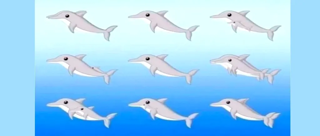 ILUZIE optică virală | Câți delfini sunt în această poză, în total?