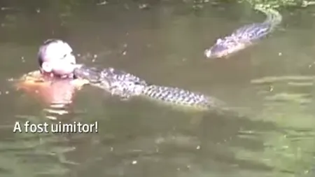 Excursia pe care nu o vor uita niciodată.Ce s-a întâmplat cu ghidul din imagine după ce a sărit în apă pentru a hrăni aligatorii