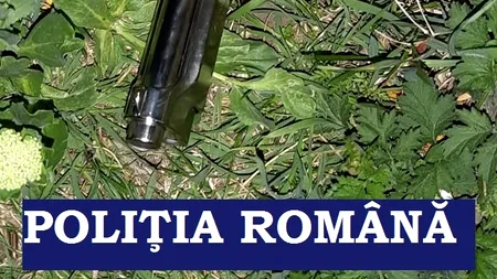 VASLUI. Cinci tineri au făcut scandal pe un drum, apoi au dat buzna, cu o armă, într-o locuinţă
