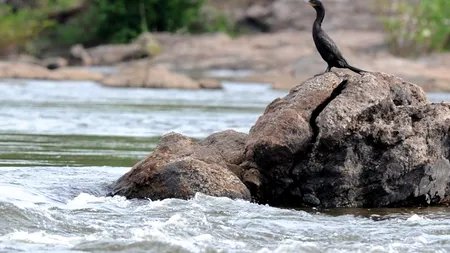 AVERTISMENT ONU: mediul înconjurător se deteriorează în ritm alert, cu riscul de a se ajunge la situații critice