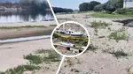 Dunărea s-a retras și au rămas doar insule de nisip pe care a crescut vegetație. Imagini dezolante la Corabia, Olt