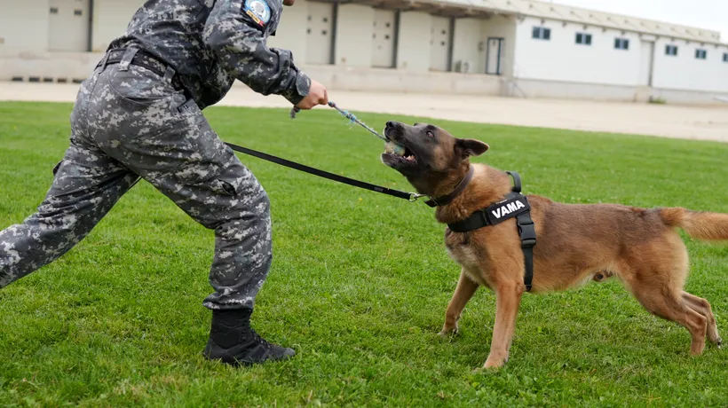 Echipele canine ale vameșilor din Ucraina, la perfecționare în România. „Unul dintre cele mai eficiente instrumente de prevenire a traficului ilegal”