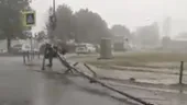 VIDEO | O furtună produsă în București a doborât 29 de copaci și a avariat 19 mașini