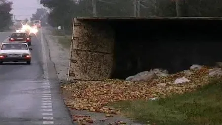 Un tir încărcat cu mere s-a răsturnat într-o râpă, pe DN 17, în Suceava