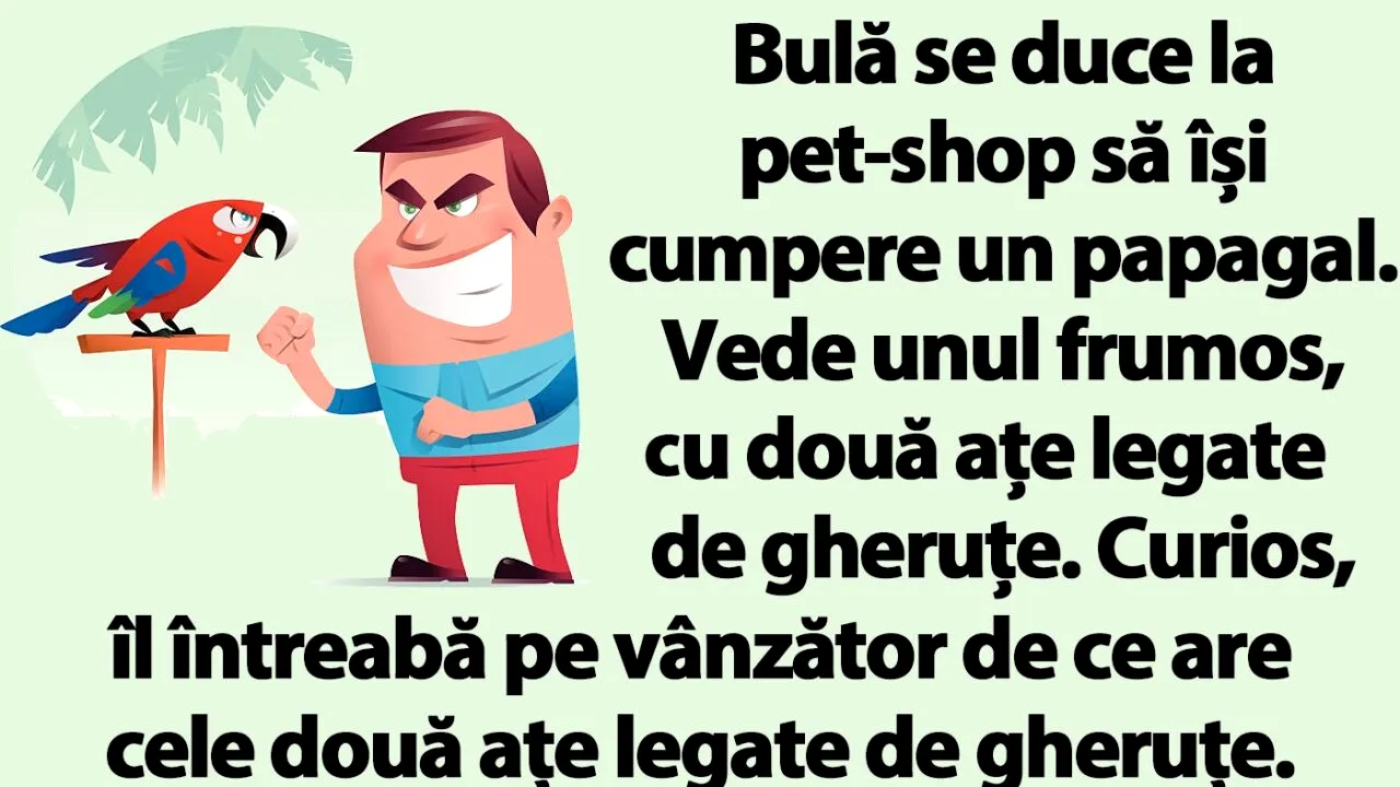 Bancul de seară | BULĂ se duce la pet-shop să își cumpere un papagal