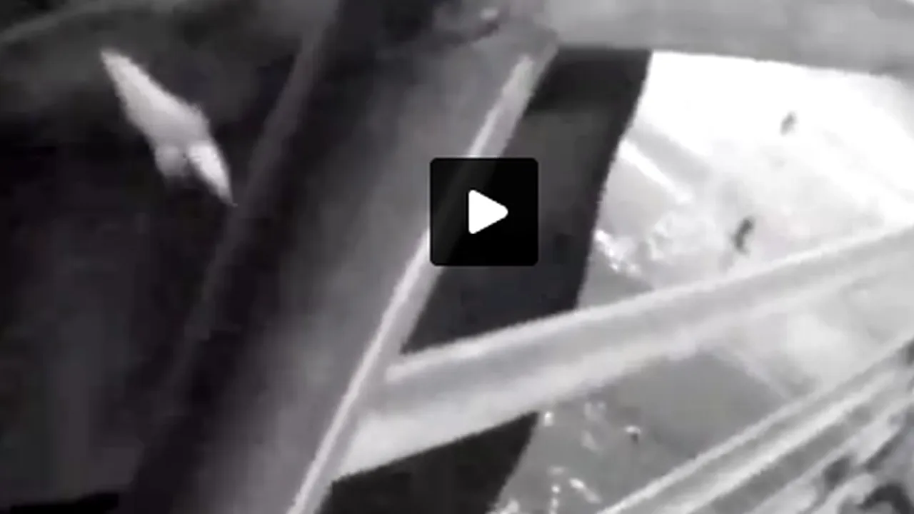 Ai mai mânca la FAST FOOD-UL ĂSTA după ce vezi imaginile ținute SECRET?