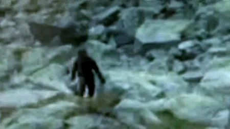 Un britanic susține că are dovada că Yeti există. 