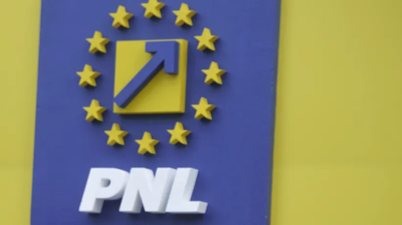 PNL cere explicații ministrului Carmen Dan pentru dosarul penal al românului cu numere de înmatriculare anti-PSD