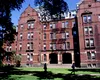 „Toată lumea e șocată”. Reacția unui bursier român la HARVARD după decizia lui Donald Trump de a interzice accesul studenților străini