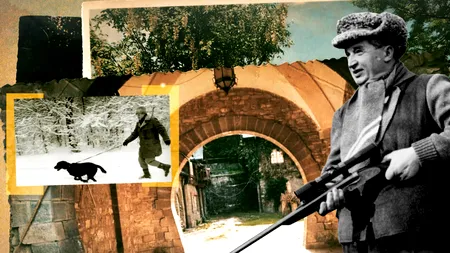 EXCLUSIV VIDEO | Muzeul Cinegetic Posada și poveștile lui fascinante. Cum a ajuns cerbul ”de aur” Guguștiucul în bătaia armei lui Ceaușescu (II)