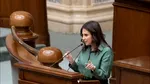 Un senator PNL spune care ar fi cele 2 variante, după ce Guvernul Veștea nu a trecut în Parlament: „România are nevoie de decizii asumate”