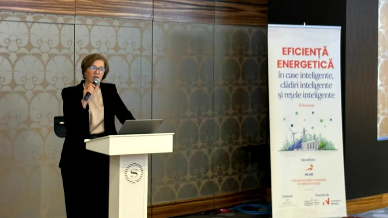 Cât se poate economisi la facturi printr-un consum inteligent? Daniela Dărăban (ACUE): „Eficiența energetică este o resursă importantă”