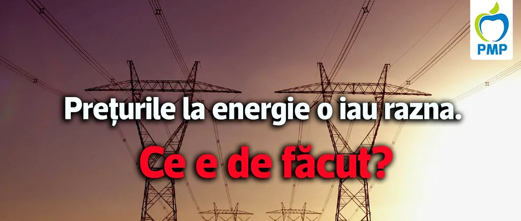 PMP: ”Guvernul ne-a lăsat pe mâna samsarilor de energie”
