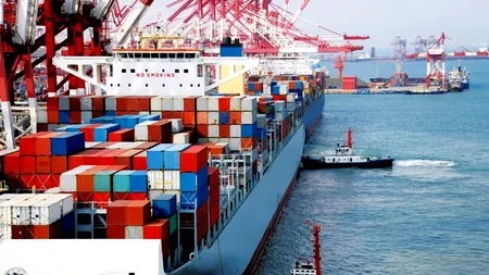 Vameșii din Portul Constanța au deschis două containere venite din China. Înăuntru au găsit motive pentru dosare penale