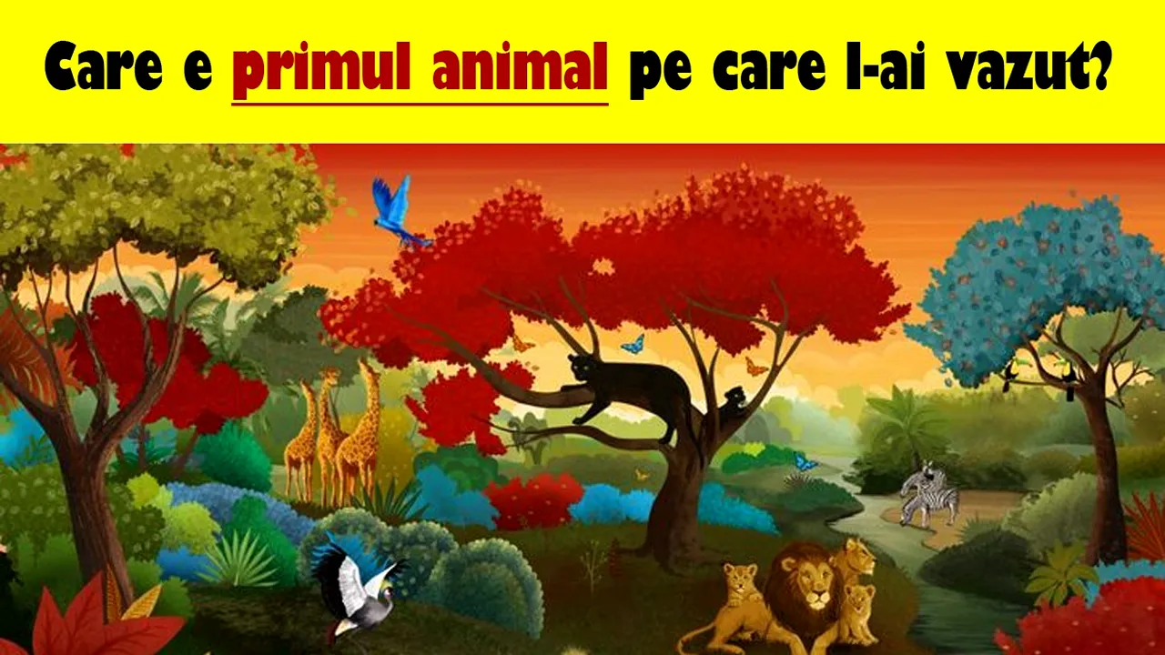 Test de personalitate | Primul animal pe care îl vezi îți va spune care e cea mai mare problemă a ta