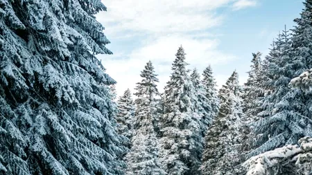 Ninge la munte: începutul unui sezon SPECTACULOS de iarnă