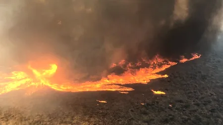 VIDEO | Fenomen rar. O „tornadă de foc” a fost surprinsă în timpul unui incendiu de vegetație din Los Angeles
