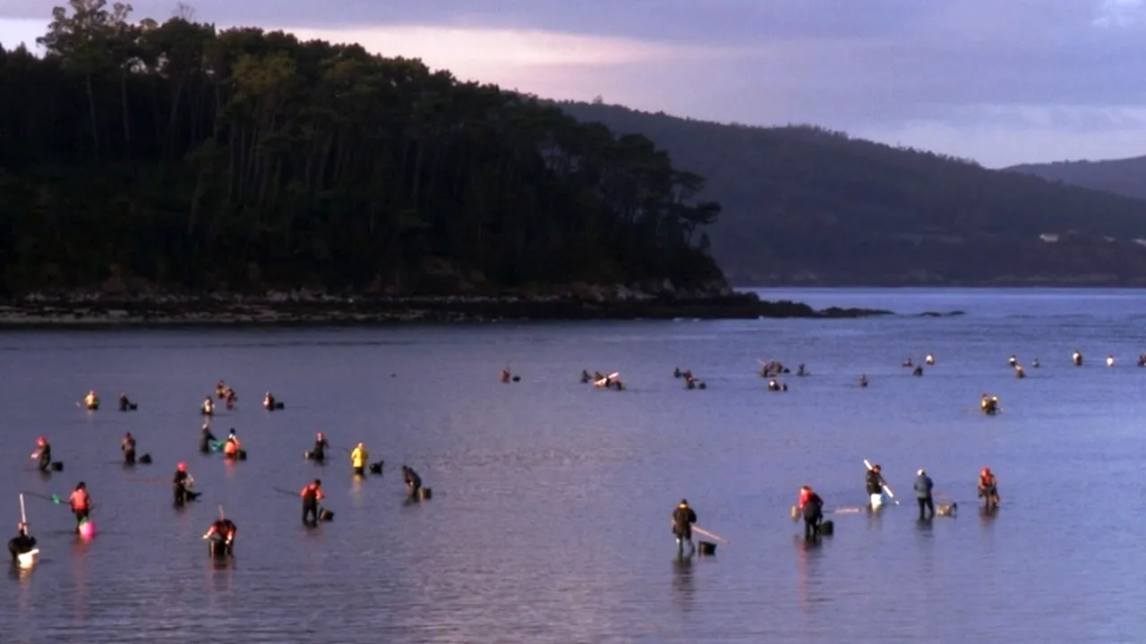 Festivalul de Film PELICAM aduce pe marele ecran documentare despre oameni și mediu. 