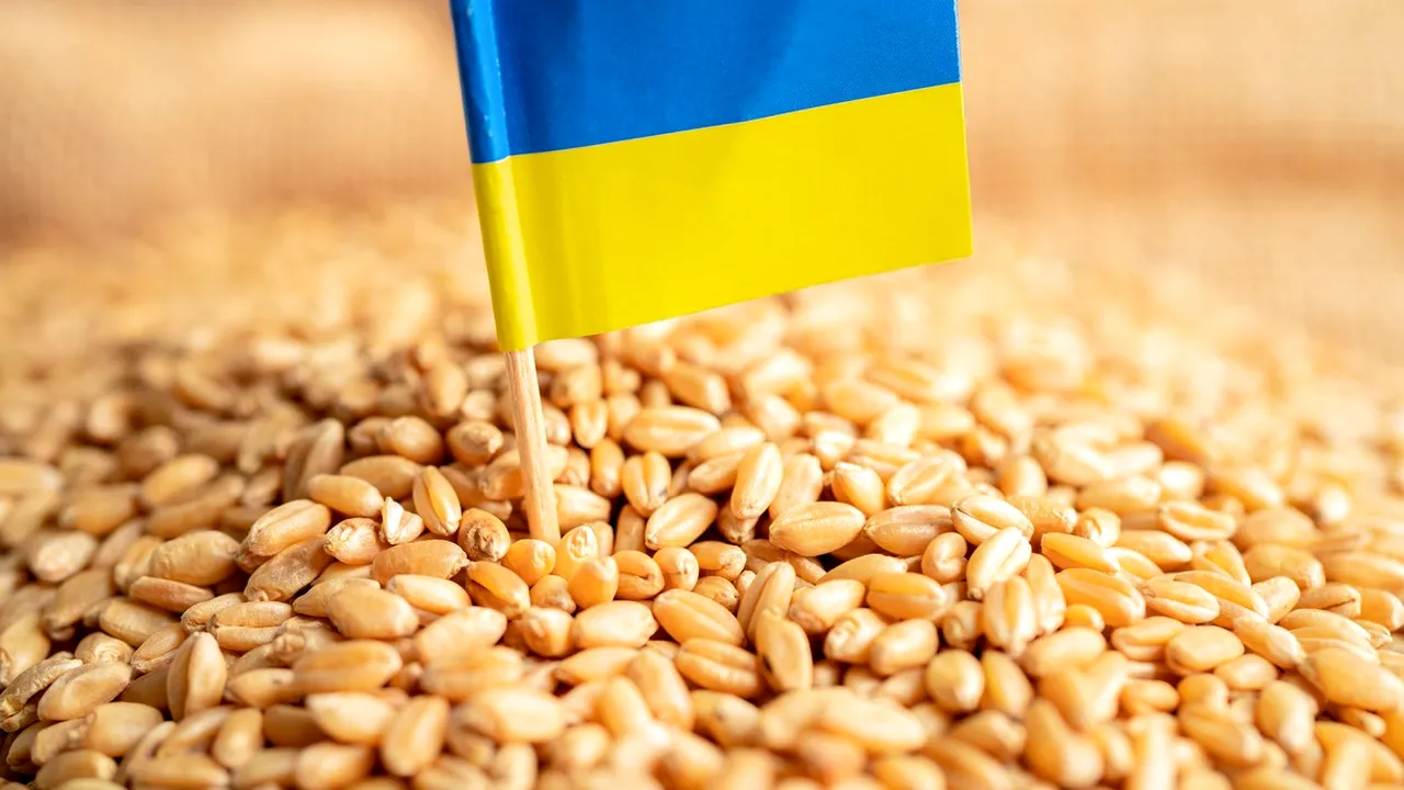 UE ar putea cumpăra cereale ucrainene pentru a reduce tensiunile dintre Ucraina și țările vecine