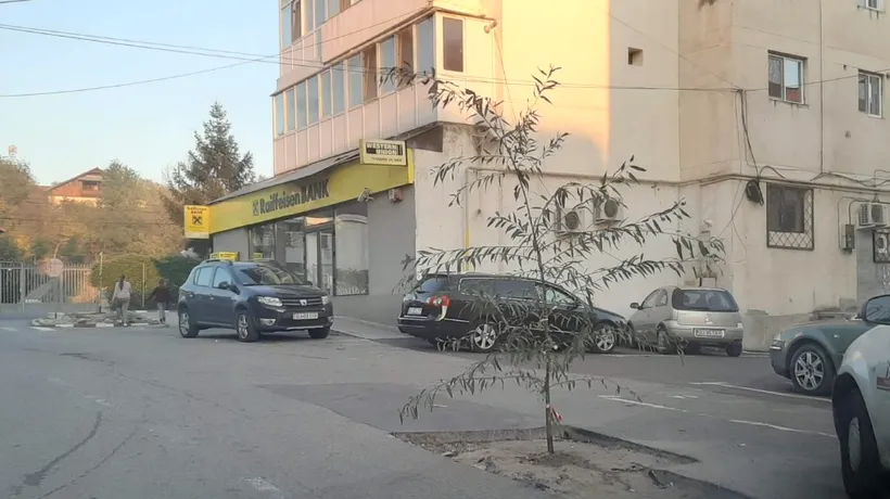 Protest inedit în Gorj: Un șofer a plantat un copac într-o groapă. Primarul: Cine l-a pus, să-l ude