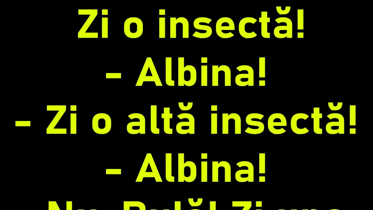 BANC | „Zi o insectă, Bulă”