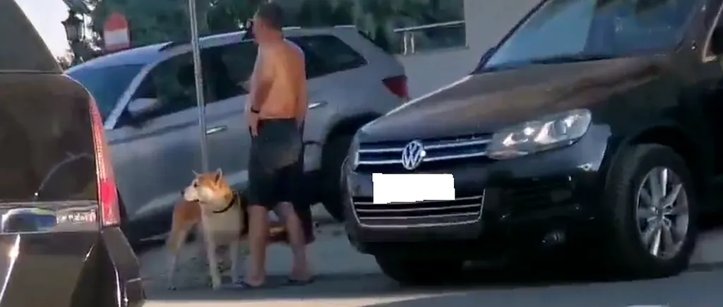 Un copil de 3 ani a fost mușcat de față de un câine, la Mamaia, chiar când se afla în mare cu tatăl său (VIDEO)