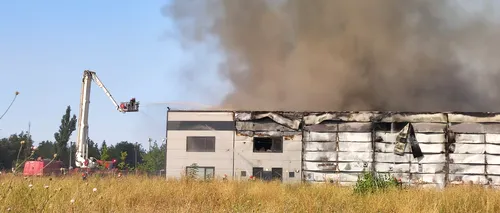 Avertisment RO-Alert: Incendiu de proporții în Mogoșoaia cu degajări masive de fum. O hală de 2000 metri pătrați arde în integralitate. Intervin 15 autospeciale