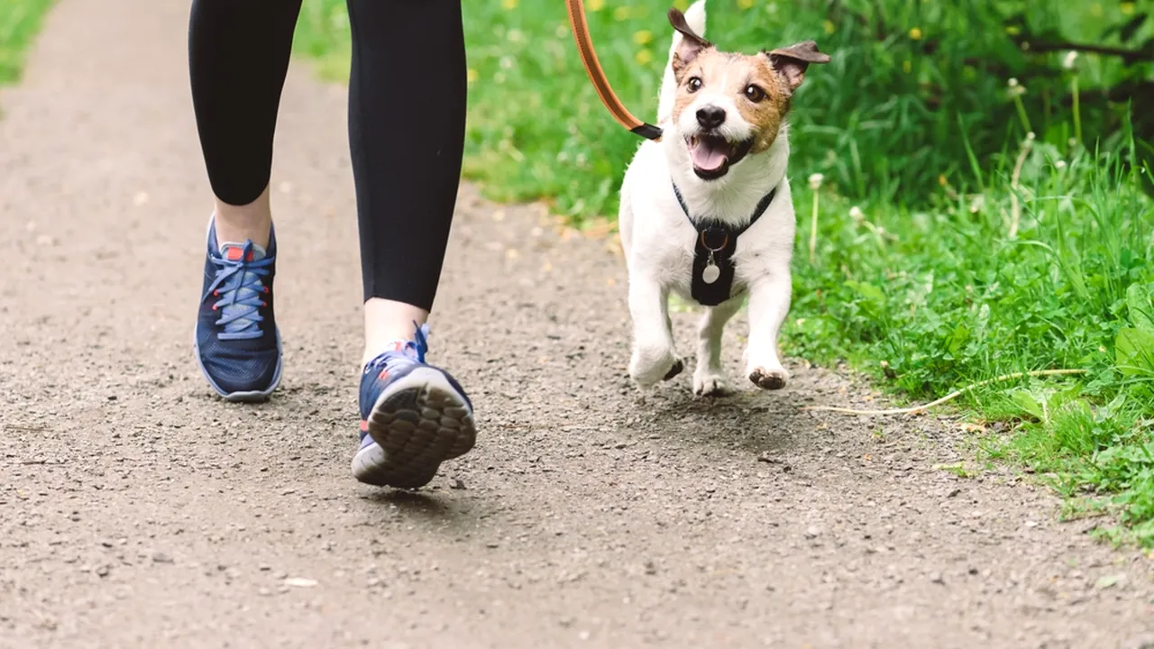 (P) Cum să alegi pantofii ideali pentru mers? 7 recomandări utile