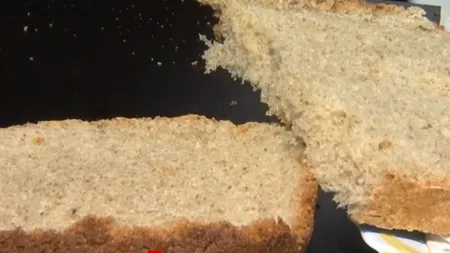 Mâncarea viitorului: carne artificială și PÂINE cu ciuperci medicinale