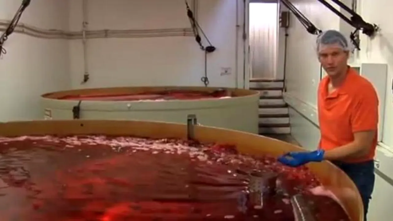 Sfârșitul tragic al unui producător de sirop de cireșe. Totul a început în dimineața când autoritățile i-au bătut la ușă