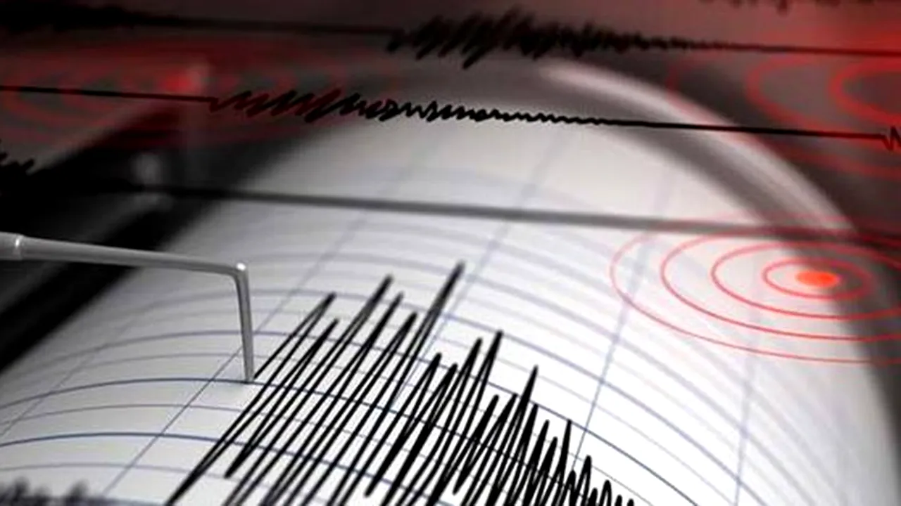 Cutremur cu magnitudinea de 4 pe scara Richter în județul Vrancea: IGSU, după seism: Până acum, nu s-au înregistrat apeluri sau alte informații privind posibile pagube
