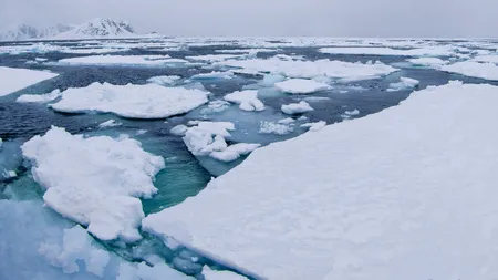 Planeta se încinge. Arctica s-a confruntat cu cel mai călduros an din istoria înregistrărilor meteorologice. Rusia și SUA vor să exploateze regiunea