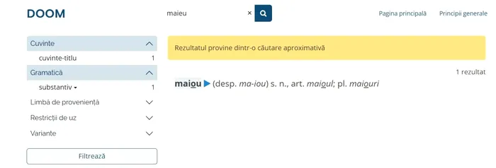 Care este forma corectă: maiou sau maieu?