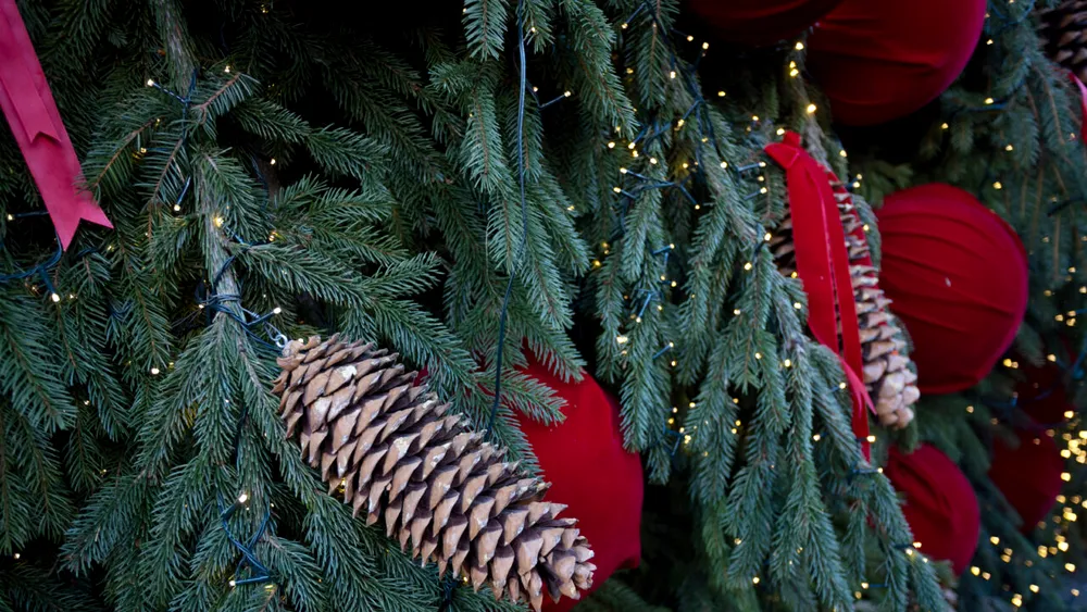 Crăciunul in lume, tradiții și superstiții de la alte popoare. Ce paradă inedită fac milionarii din Elveția