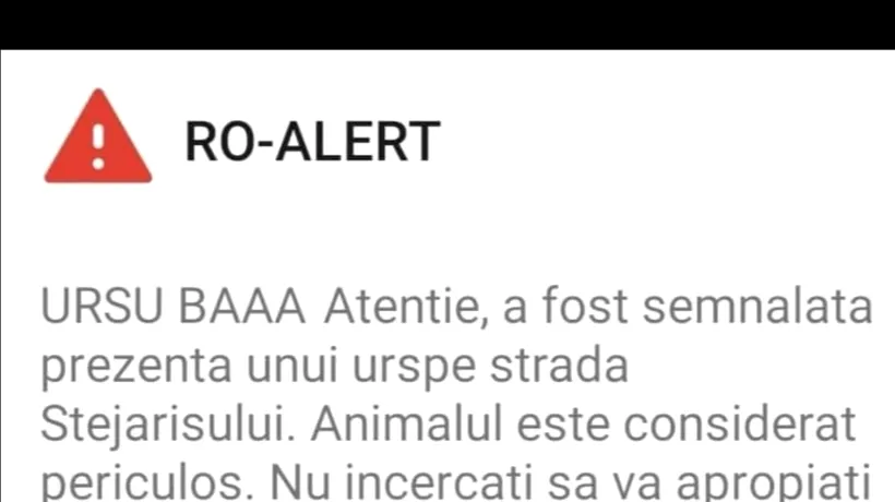 Anchetă la ISU Brașov după ce un mesaj RO-ALERT despre prezența unui urs a început cu „Ursu baaa”