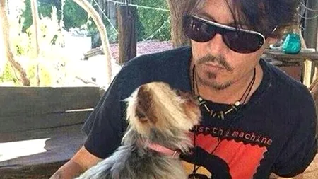 Johnny Depp riscă 10 ani de închisoare în Australia din cauza câinilor săi