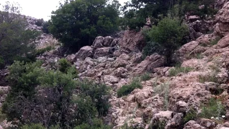 Unde se ascund soldații din imaginea de mai jos. Mărește FOTO pentru a vedea cât de bine s-au camuflat